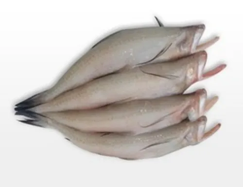 BOMBAY DUCK CLEAN IQF